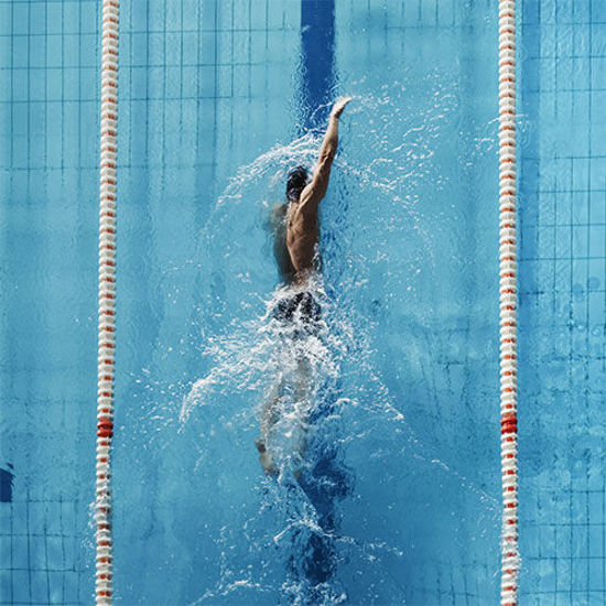 Schwimmer 